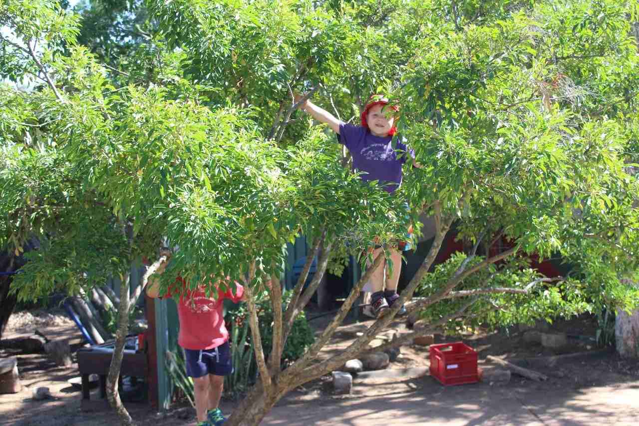 Preschool children engaged play activities for their early childhood development