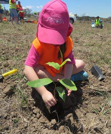 Preschool children engaging with community and environment